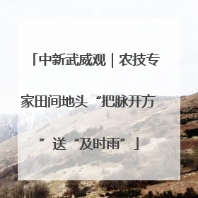中新武威观｜农技专家田间地头“把脉开方”送“及时雨”