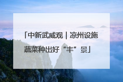 中新武威观｜凉州设施蔬菜种出好“丰”景