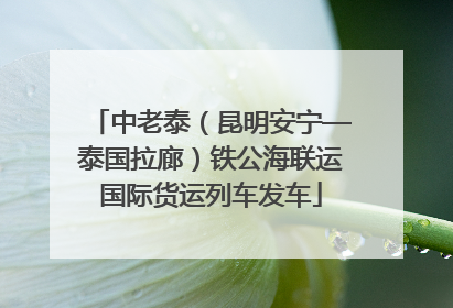 中老泰（昆明安宁—泰国拉廊）铁公海联运国际货运列车发车