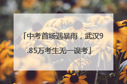 中考首场遇暴雨，武汉9.85万考生无一误考