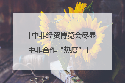 中非经贸博览会尽显中非合作“热度”