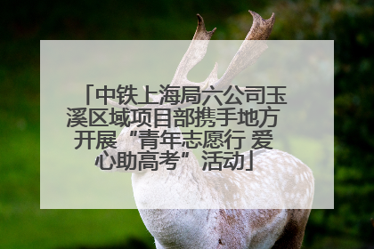 中铁上海局六公司玉溪区域项目部携手地方开展“青年志愿行 爱心助高考”活动