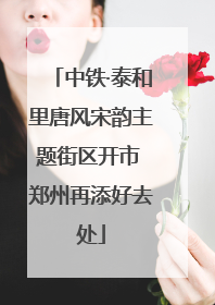 中铁·泰和里唐风宋韵主题街区开市 郑州再添好去处