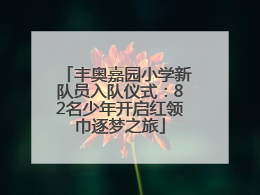 丰奥嘉园小学新队员入队仪式：82名少年开启红领巾逐梦之旅