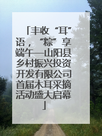 丰收“耳”语，“粽”享端午—山阳县乡村振兴投资开发有限公司首届木耳采摘活动盛大启幕