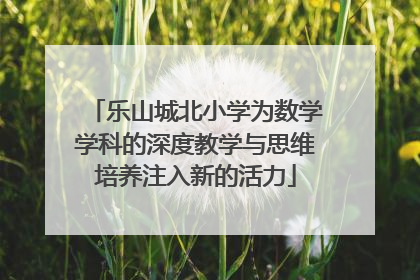 乐山城北小学为数学学科的深度教学与思维培养注入新的活力