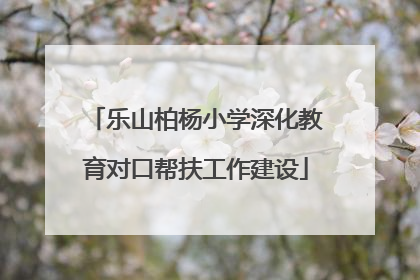 乐山柏杨小学深化教育对口帮扶工作建设