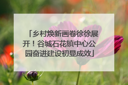 乡村焕新画卷徐徐展开！谷城石花镇中心公园奋进建设初显成效