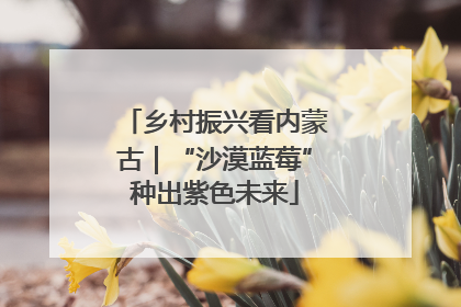 乡村振兴看内蒙古｜“沙漠蓝莓”种出紫色未来