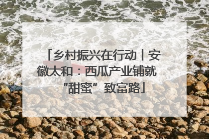 乡村振兴在行动丨安徽太和：西瓜产业铺就“甜蜜”致富路