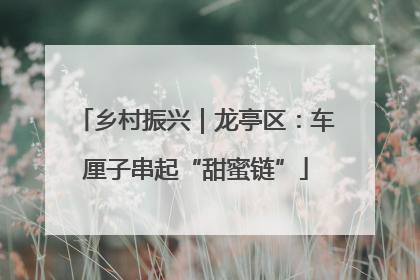乡村振兴｜龙亭区：车厘子串起“甜蜜链”