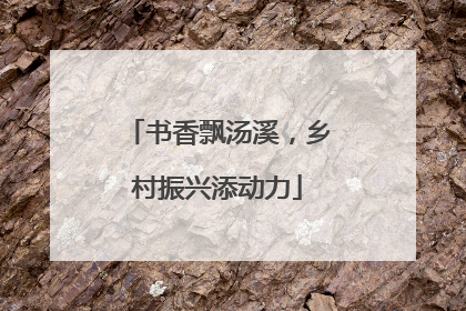 书香飘汤溪，乡村振兴添动力