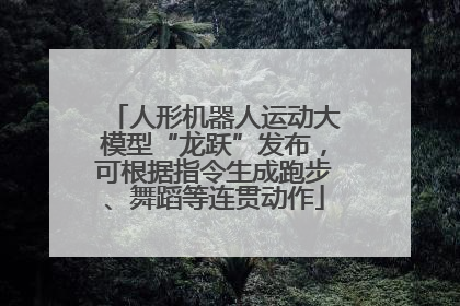 人形机器人运动大模型“龙跃”发布，可根据指令生成跑步、舞蹈等连贯动作