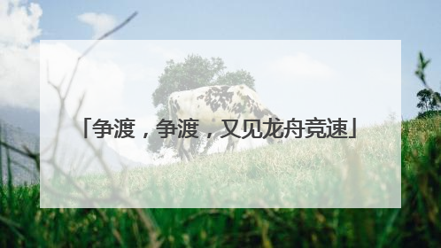 争渡，争渡，又见龙舟竞速