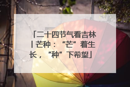 二十四节气看吉林丨芒种：“芒”着生长，“种”下希望