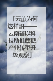 云蔗为何这样甜——云南省以科技助推蔗糖产业转型升级观察
