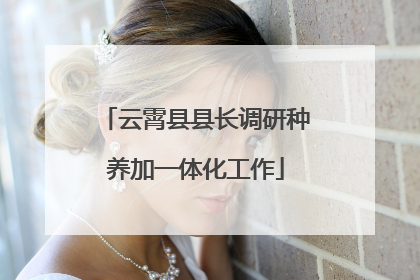 云霄县县长调研种养加一体化工作