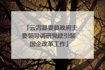 云霄县委县政府主要领导调研党建引领国企改革工作