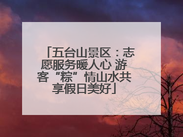 五台山景区：志愿服务暖人心 游客“粽”情山水共享假日美好