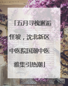 五月寻槐邂逅怪坡，沈北新区中医院国潮中医雅集引热潮