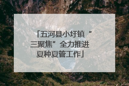 五河县小圩镇“三聚焦”全力推进夏种夏管工作