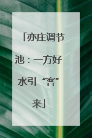 亦庄调节池：一方好水引“客”来