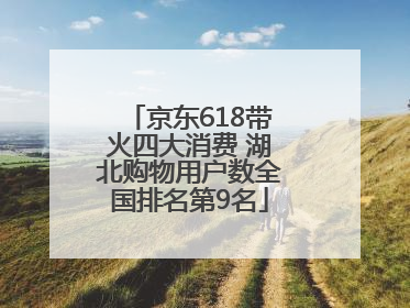 京东618带火四大消费 湖北购物用户数全国排名第9名