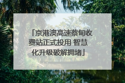 京港澳高速蔡甸收费站正式投用 智慧化升级破解拥堵