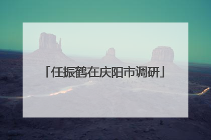任振鹤在庆阳市调研