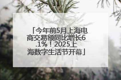 今年前5月上海电商交易额同比增长6.1%！2025上海数字生活节开幕