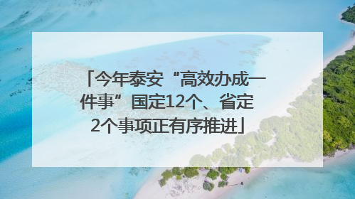 今年泰安“高效办成一件事”国定12个、省定2个事项正有序推进