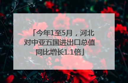 今年1至5月，河北对中亚五国进出口总值同比增长1.1倍