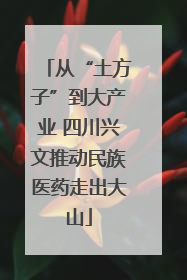 从“土方子”到大产业 四川兴文推动民族医药走出大山