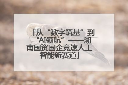 从“数字筑基”到“AI领航”——湖南国资国企竞速人工智能新赛道