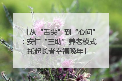 从“舌尖”到“心间”：安仁“三助”养老模式托起长者幸福晚年