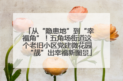 从“隐患地”到“幸福角”！五角场街道这个老旧小区党建微花园“靓”出幸福新图景