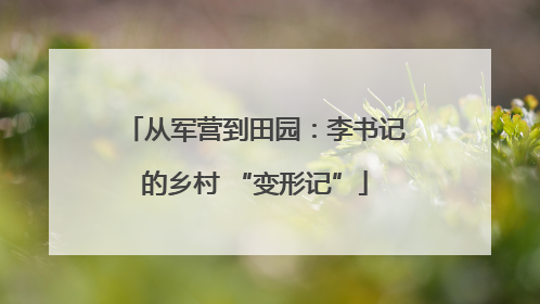 从军营到田园：李书记的乡村 “变形记”