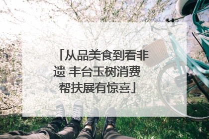 从品美食到看非遗 丰台玉树消费帮扶展有惊喜