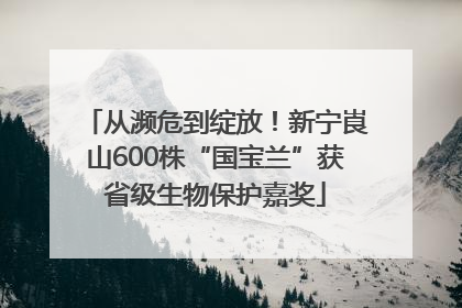 从濒危到绽放！新宁崀山600株“国宝兰”获省级生物保护嘉奖