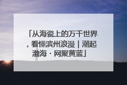 从海瓷上的万千世界，看懂滨州浪漫｜潮起渤海・网聚黄蓝
