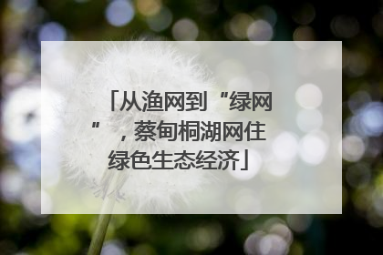 从渔网到“绿网”，蔡甸桐湖网住绿色生态经济