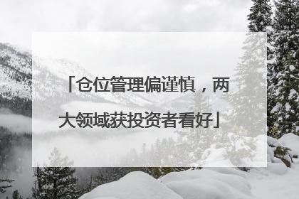 仓位管理偏谨慎，两大领域获投资者看好
