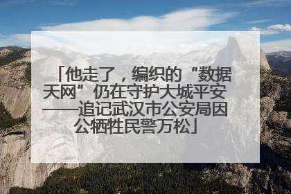 他走了，编织的“数据天网”仍在守护大城平安——追记武汉市公安局因公牺牲民警万松