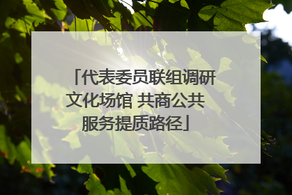 代表委员联组调研文化场馆 共商公共服务提质路径