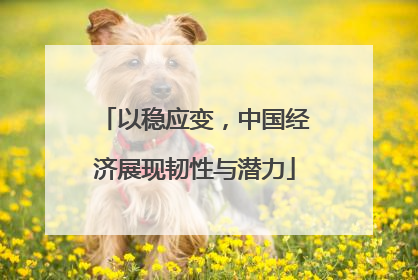 以稳应变,中国经济展现韧性与潜力