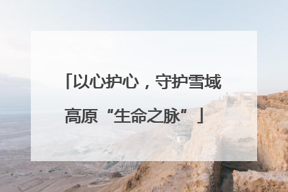 以心护心，守护雪域高原“生命之脉”