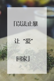 以法止暴 让“爱”回家