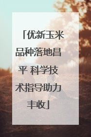优新玉米品种落地昌平 科学技术指导助力丰收