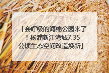 会呼吸的海绵公园来了！杨浦新江湾城7.35公顷生态空间改造焕新