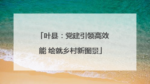 叶县：党建引领高效能 绘就乡村新图景
